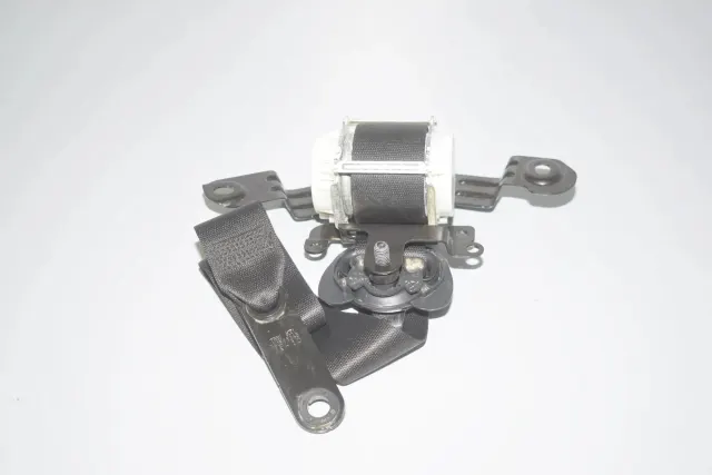 Rear Left Seatbelt