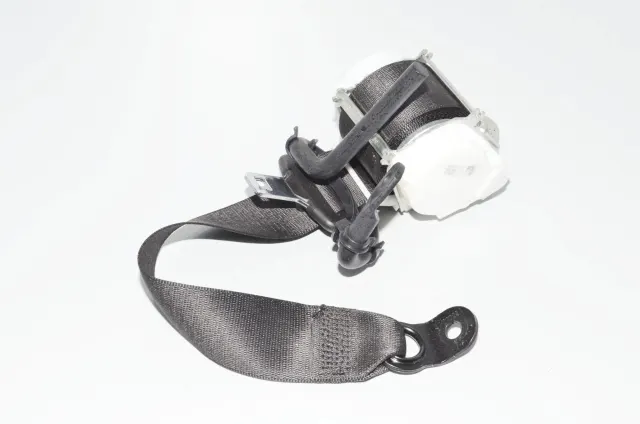Rear Right Seatbelt