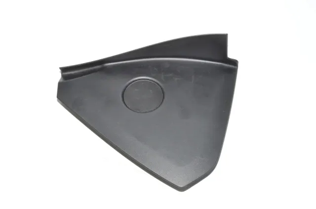 Dashboard Trim