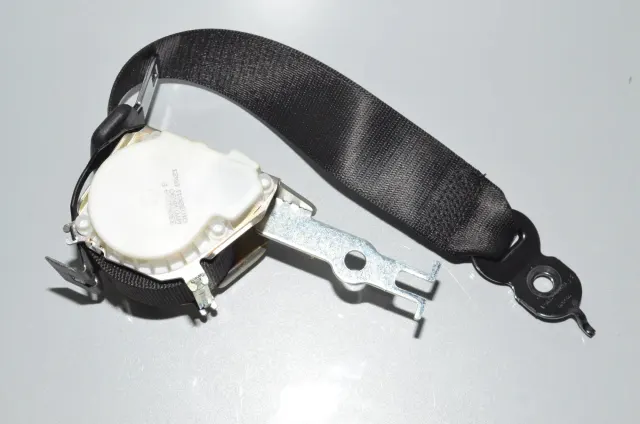 Rear Left Seatbelt