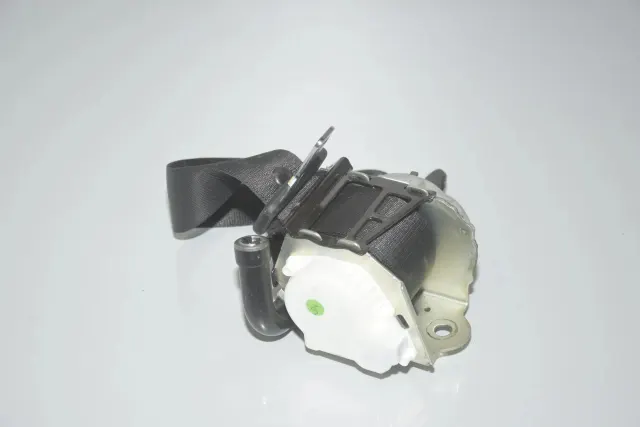 Rear Left Seatbelt