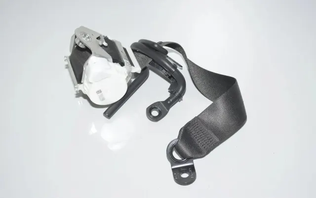 Rear Right Seatbelt