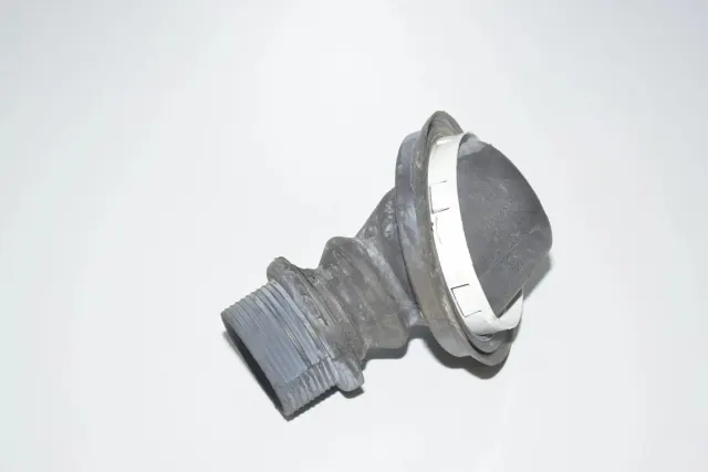 Other Body Parts