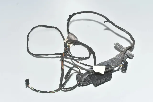 Rear Left Door Wiring