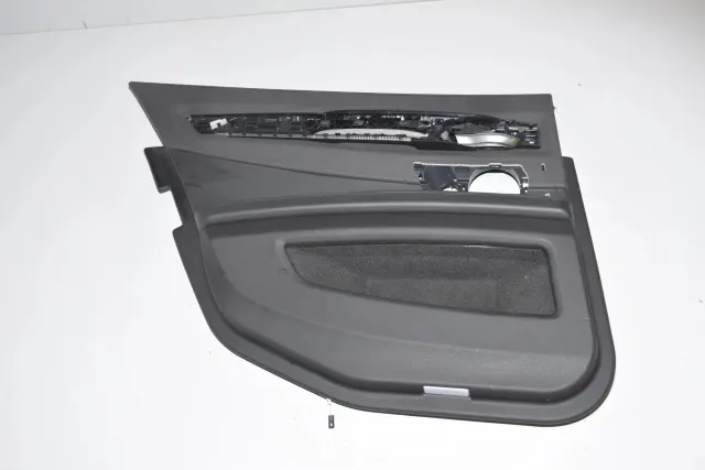 Rear Left Door Panel