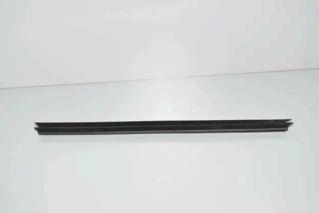 Rear Left Door Window Strip