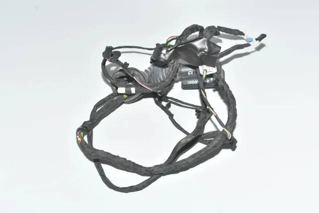 Rear Left Door Wiring