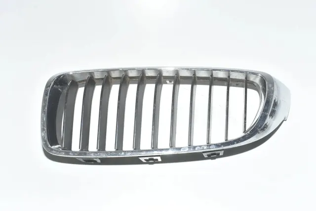 Front Left Grill
