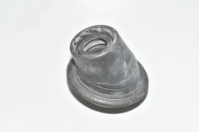 Other Body Parts