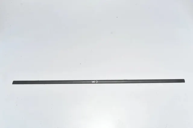 Rear Left Door Window Strip