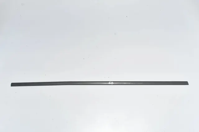 Rear Right Door Window Strip