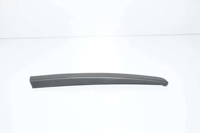 Rear Left Door Window Strip
