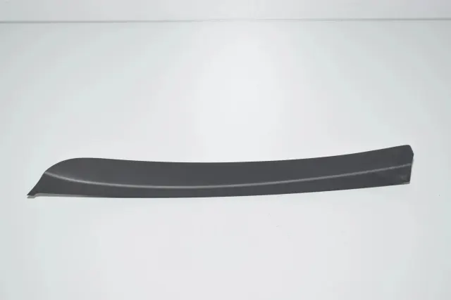Rear Left Door Window Strip