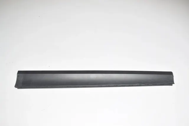 Front Right Door Lower Molding