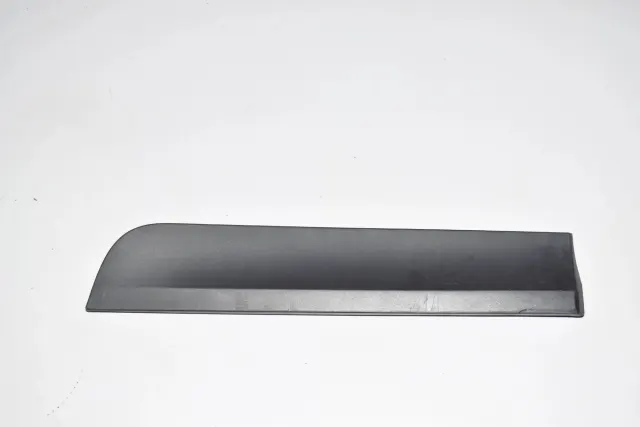 Rear Left Door Lower Molding