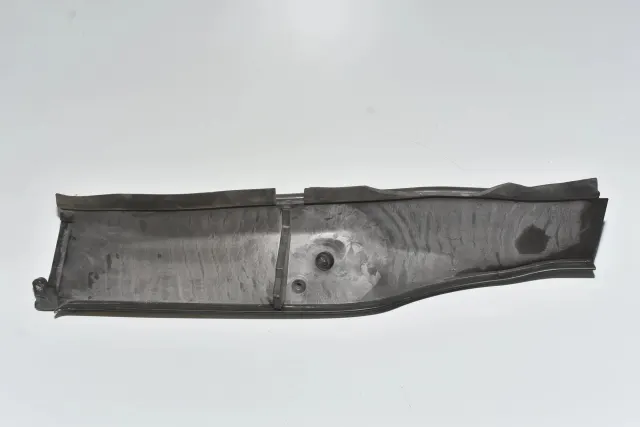 Other Body Parts