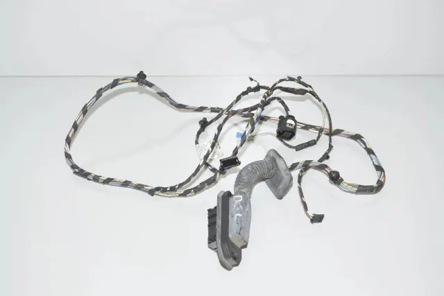 Rear Right Door Wiring