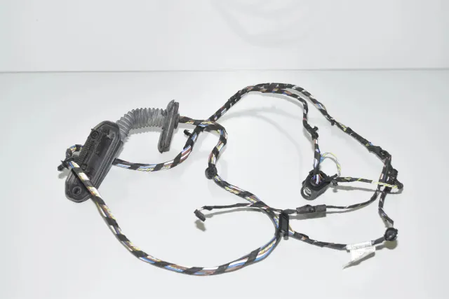 Rear Left Door Wiring