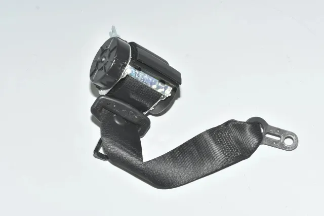 Rear Left Seatbelt
