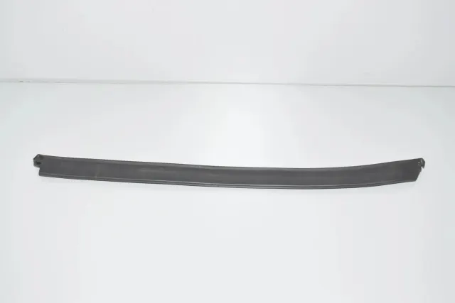 Rear Left Door Window Strip