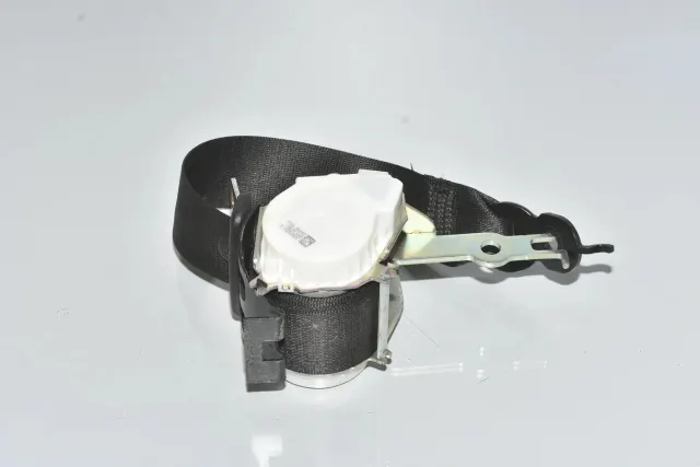 Rear Right Seatbelt