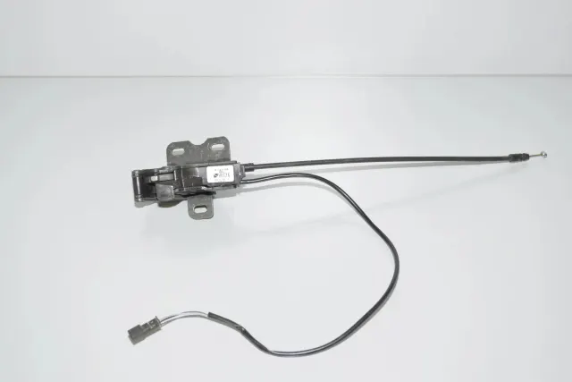 Rear Left Door Lock