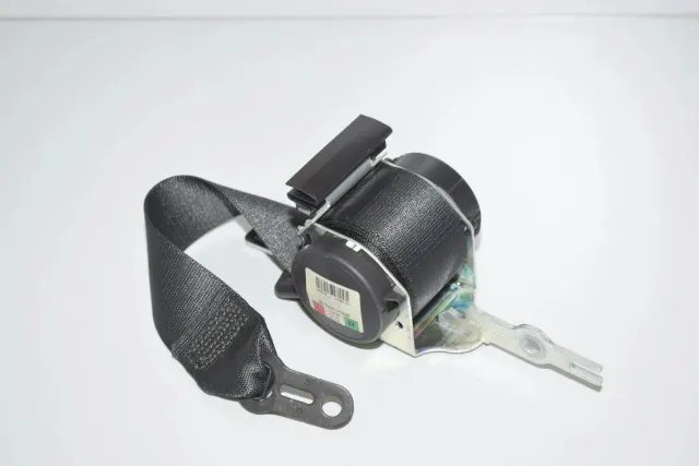 Rear Left Seatbelt