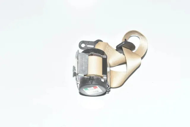 Rear Right Seatbelt