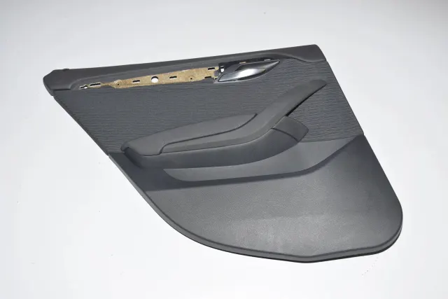 Rear Left Door Panel