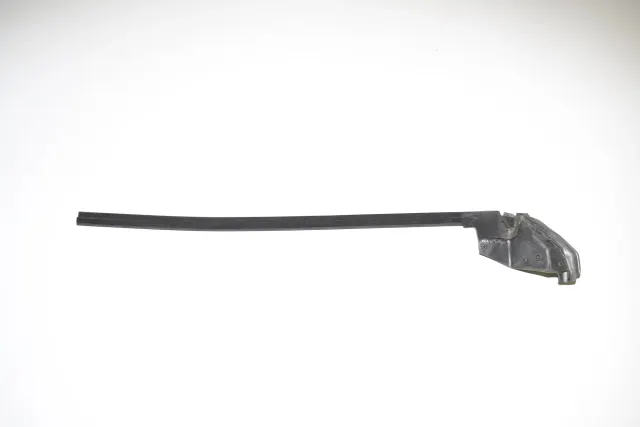 Front Left Door Rubber Seal