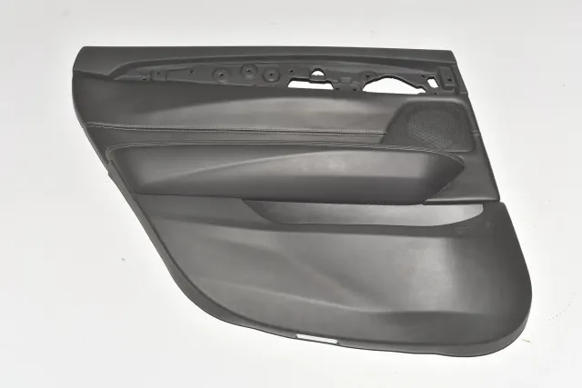 Rear Left Door Panel