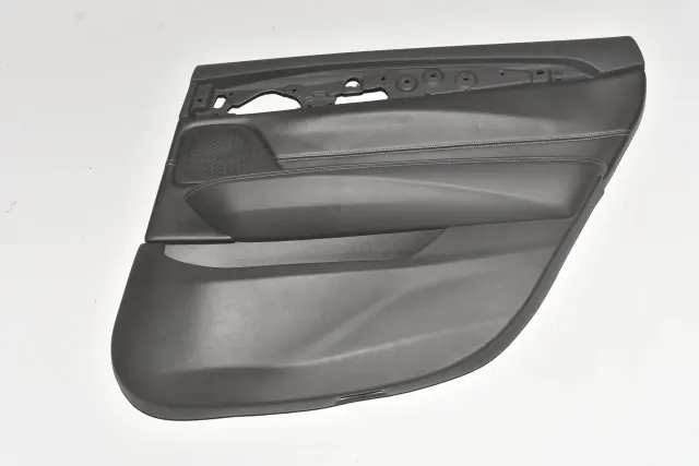 Rear Right Door Panel