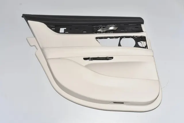 Rear Left Door Panel
