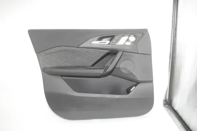 Front Left Door Panel