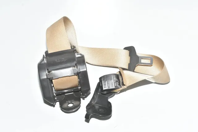 Rear Right Seatbelt