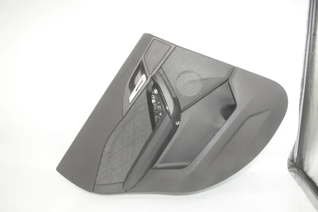Rear Left Door Panel