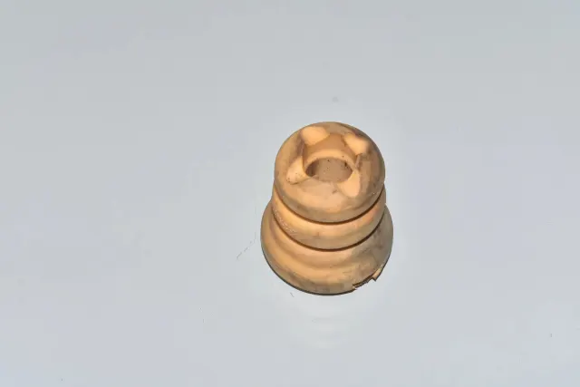 Absorber Cylinder Protection