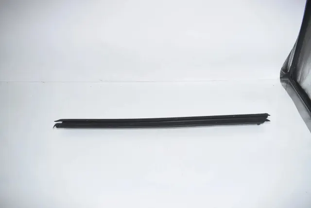 Front Left Door Window Strip