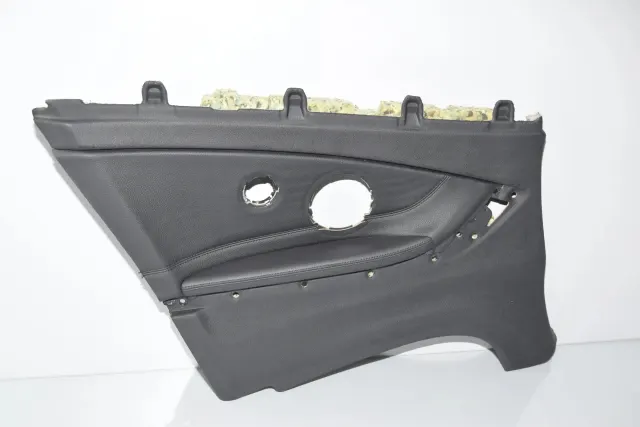 Rear Left Door Panel