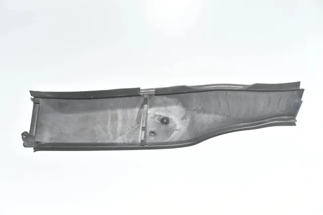 Other Body Parts