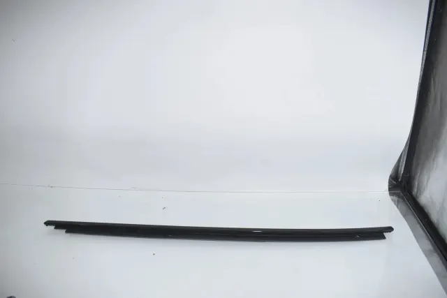 Rear Left Door Window Strip