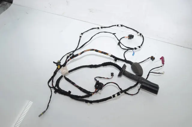 Rear Left Door Wiring