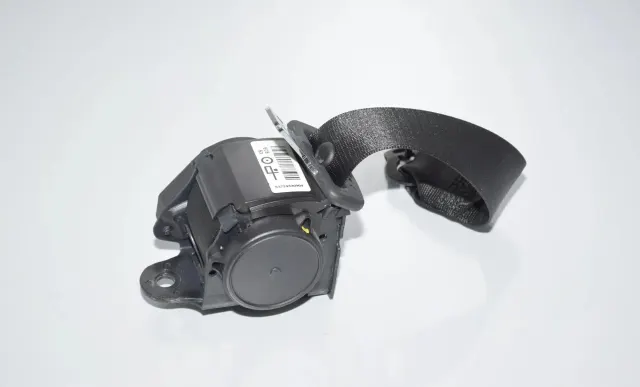 Rear Left Seatbelt