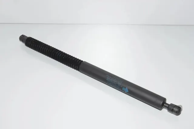 Right Side Tailgate Gas Strut