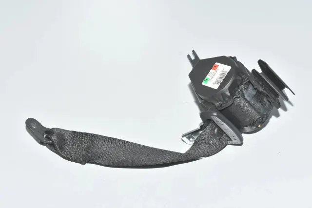 Rear Right Seatbelt