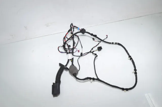 Rear Left Door Wiring