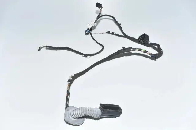 Rear Right Door Wiring