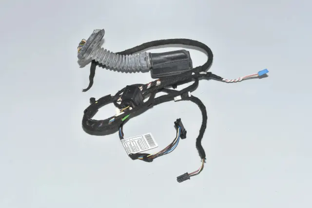 Rear Left Door Wiring