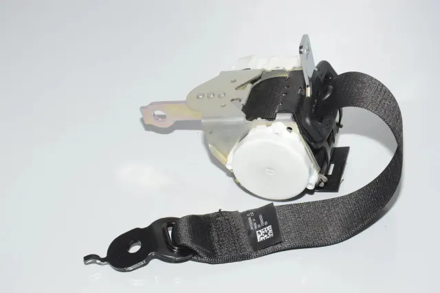 Rear Left Seatbelt