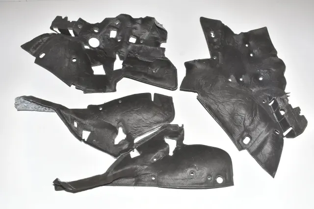 Other Body Parts